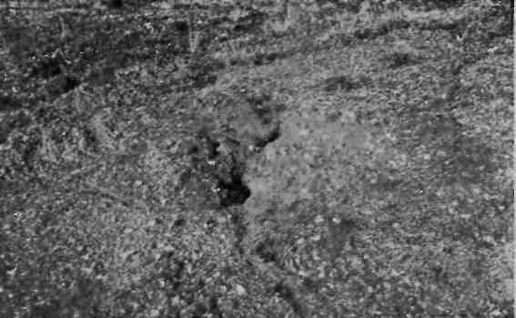 На Новую Землю! - img_16.jpeg