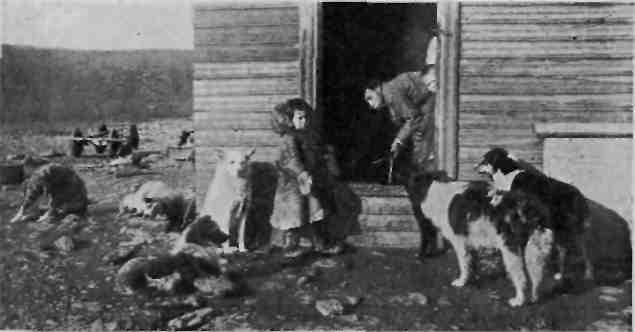 На Новую Землю! - img_29.jpeg