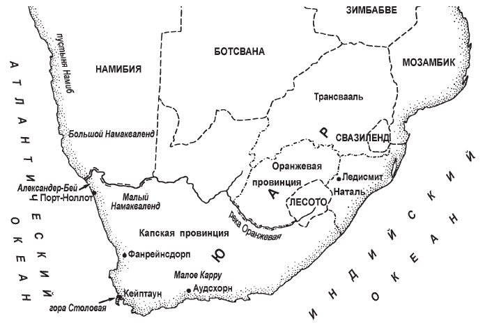 Суккуленты - _7.jpg