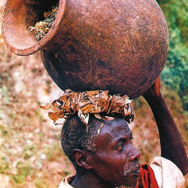 Суккуленты - _12.jpg