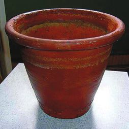 Декоративноцветущие растения - i_032.jpg