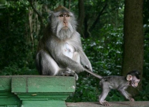 ШокоЛадушки (СИ) - _37.jpg