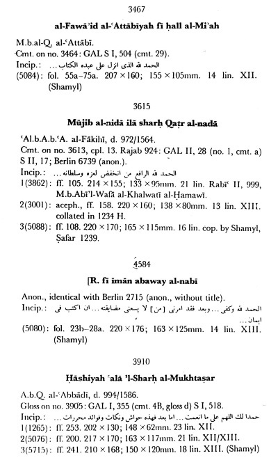 Дагестанские святыни. Книга первая - i_049.jpg