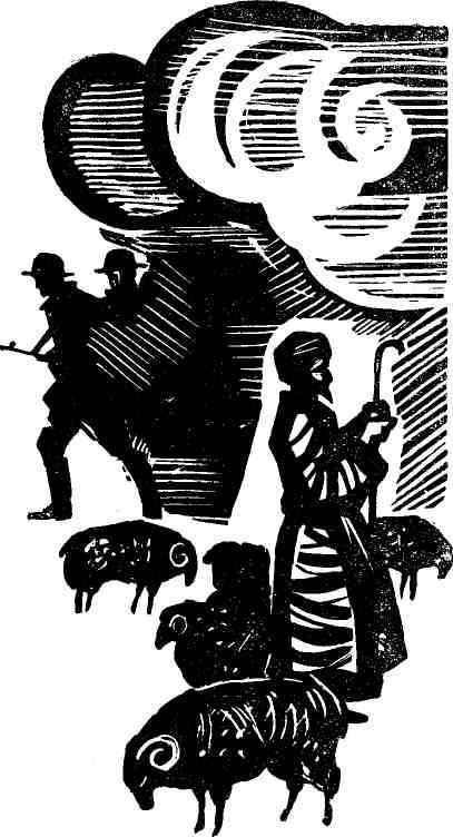 Туркестанские повести - img_2.jpeg