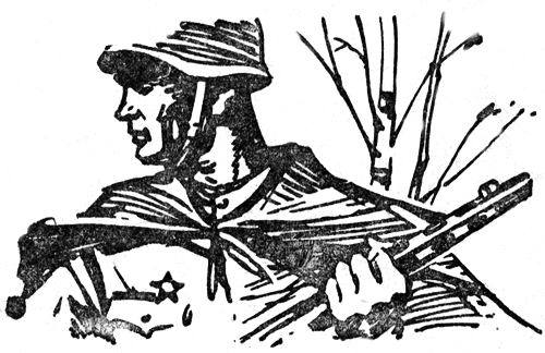 Неотосланные письма (Повесть и рассказы) - i_005.jpg