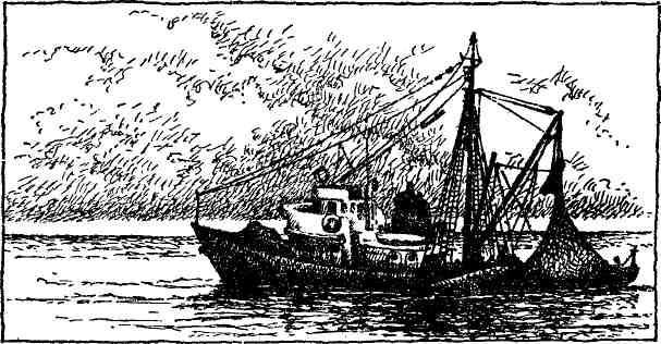 Бурное море - img_4.jpg