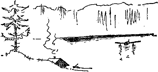 Крылатый следопыт Заполярья - img_5.png