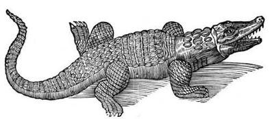 Сафари под Килиманджаро - i_008.jpg