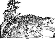 Сафари под Килиманджаро - i_009.jpg