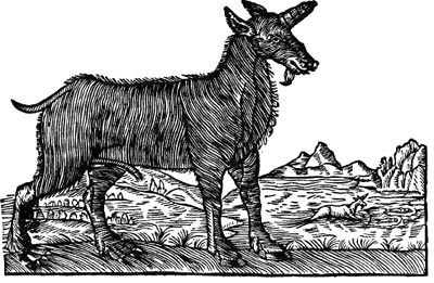 Сафари под Килиманджаро - i_011.jpg