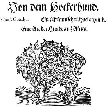 Сафари под Килиманджаро - i_012.jpg