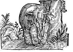 Сафари под Килиманджаро - i_022.jpg