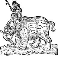 Сафари под Килиманджаро - i_024.jpg