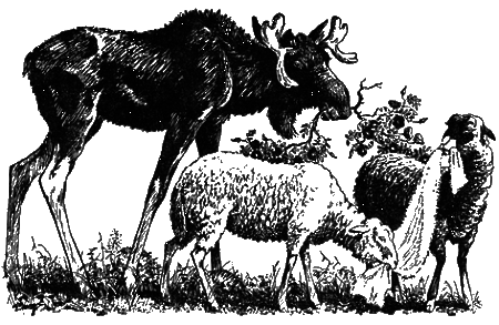 Понимайка и лось - i_015.png