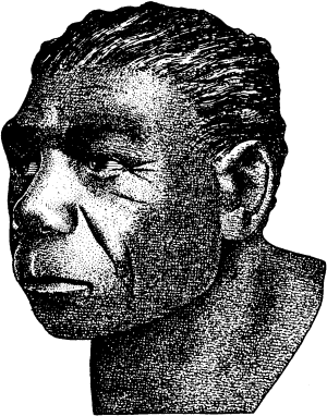 Расы Европы - _12.png