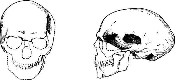Расы Европы - _14.png