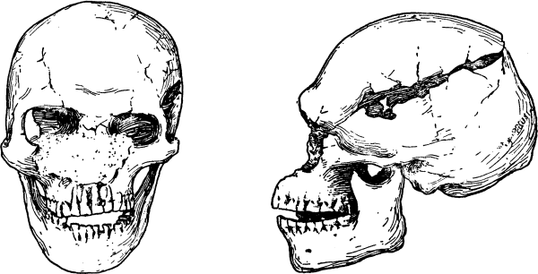 Расы Европы - _18.png