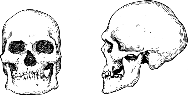 Расы Европы - _20.png