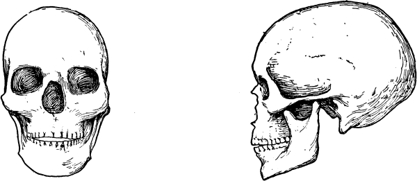 Расы Европы - _23.png