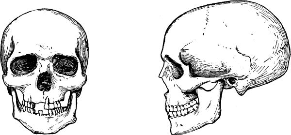 Расы Европы - _24.png