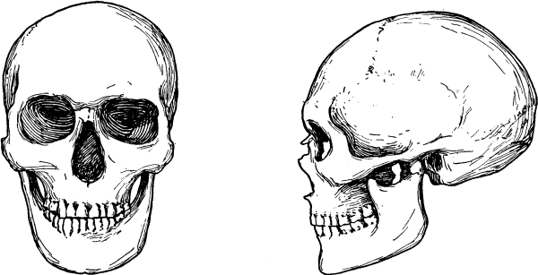 Расы Европы - _25.png