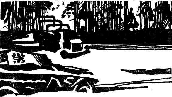 Партизанский фронт - img_5.jpeg