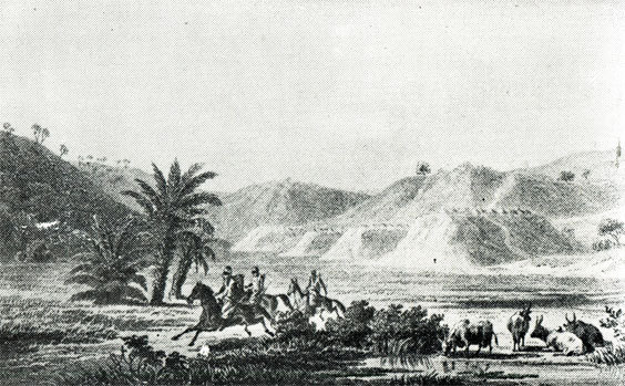 20000 километров по Сахаре и Судану - i_023.jpg