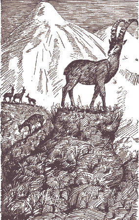 Избранное - i_003.png