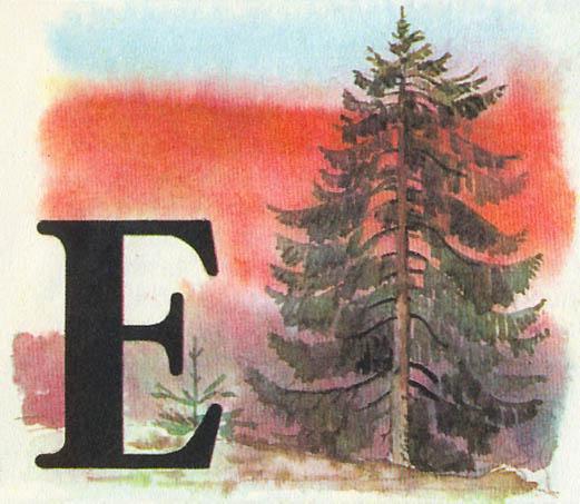 Где у растения дом - _23.jpg