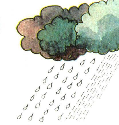 Где у растения дом - _43.jpg