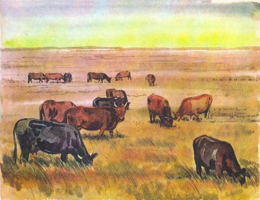 Где у растения дом - _51.jpg