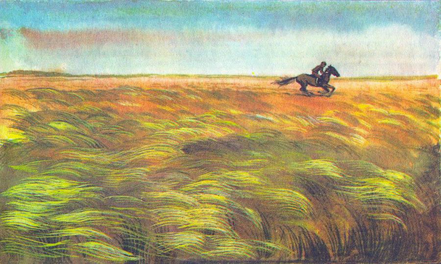 Где у растения дом - _30.jpg