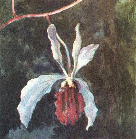 Где у растения дом - _40.jpg