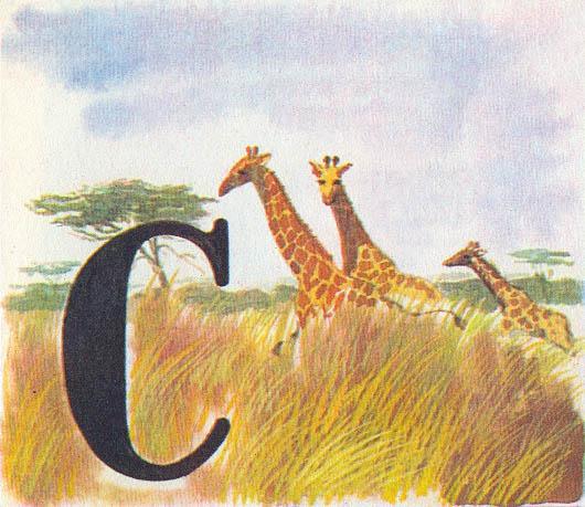 Где у растения дом - _48.jpg