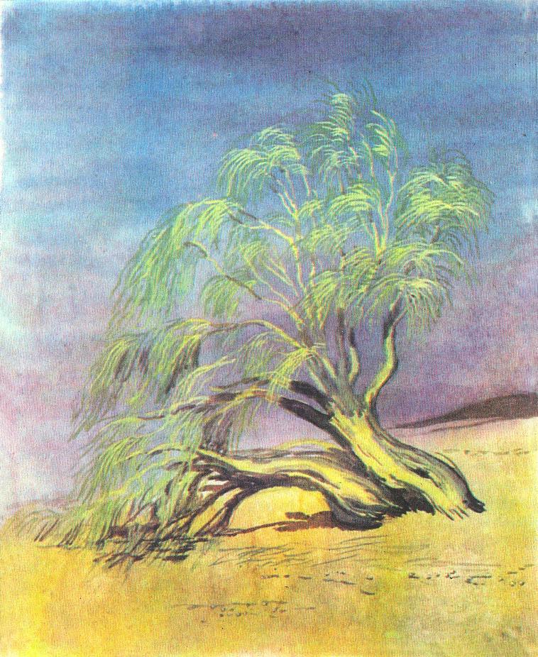 Где у растения дом - _49.jpg