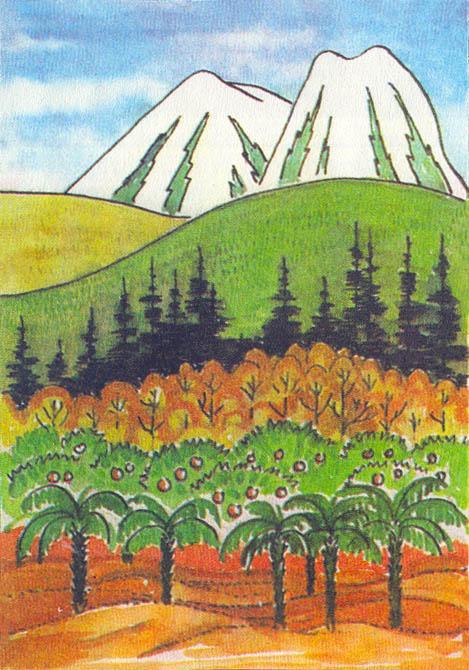 Где у растения дом - _54.jpg