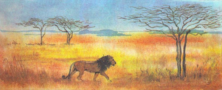 Где у растения дом - _7.jpg