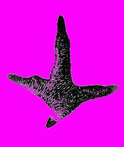 А.Н. Формозов Спутник следопыта - _150.jpg