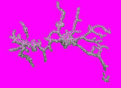 А.Н. Формозов Спутник следопыта - _166.jpg