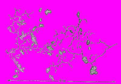 А.Н. Формозов Спутник следопыта - _167.jpg