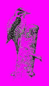 А.Н. Формозов Спутник следопыта - _180.jpg