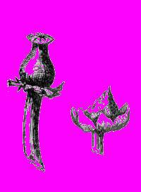 А.Н. Формозов Спутник следопыта - _190.jpg