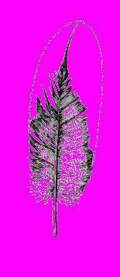 А.Н. Формозов Спутник следопыта - _218.jpg