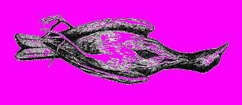 А.Н. Формозов Спутник следопыта - _279.jpg