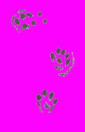 А.Н. Формозов Спутник следопыта - _280.jpg