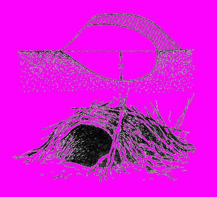 А.Н. Формозов Спутник следопыта - _307.jpg