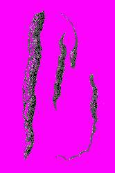 А.Н. Формозов Спутник следопыта - _70.jpg