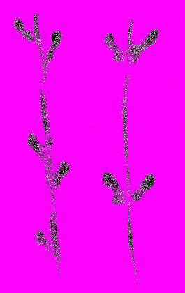 А.Н. Формозов Спутник следопыта - _114.jpg