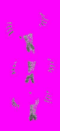 А.Н. Формозов Спутник следопыта - _126.jpg