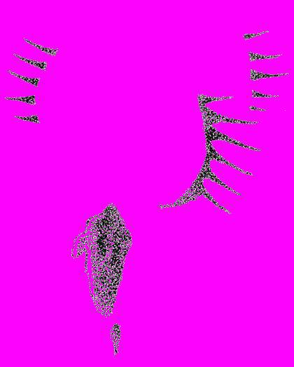 А.Н. Формозов Спутник следопыта - _130.jpg